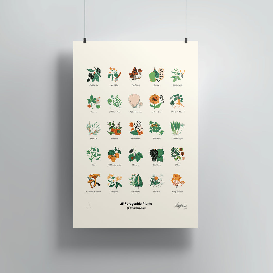 Forageable Plants of PA / Poster Art Print