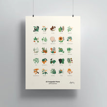 Load image into Gallery viewer, Forageable Plants of PA / Poster Art Print
